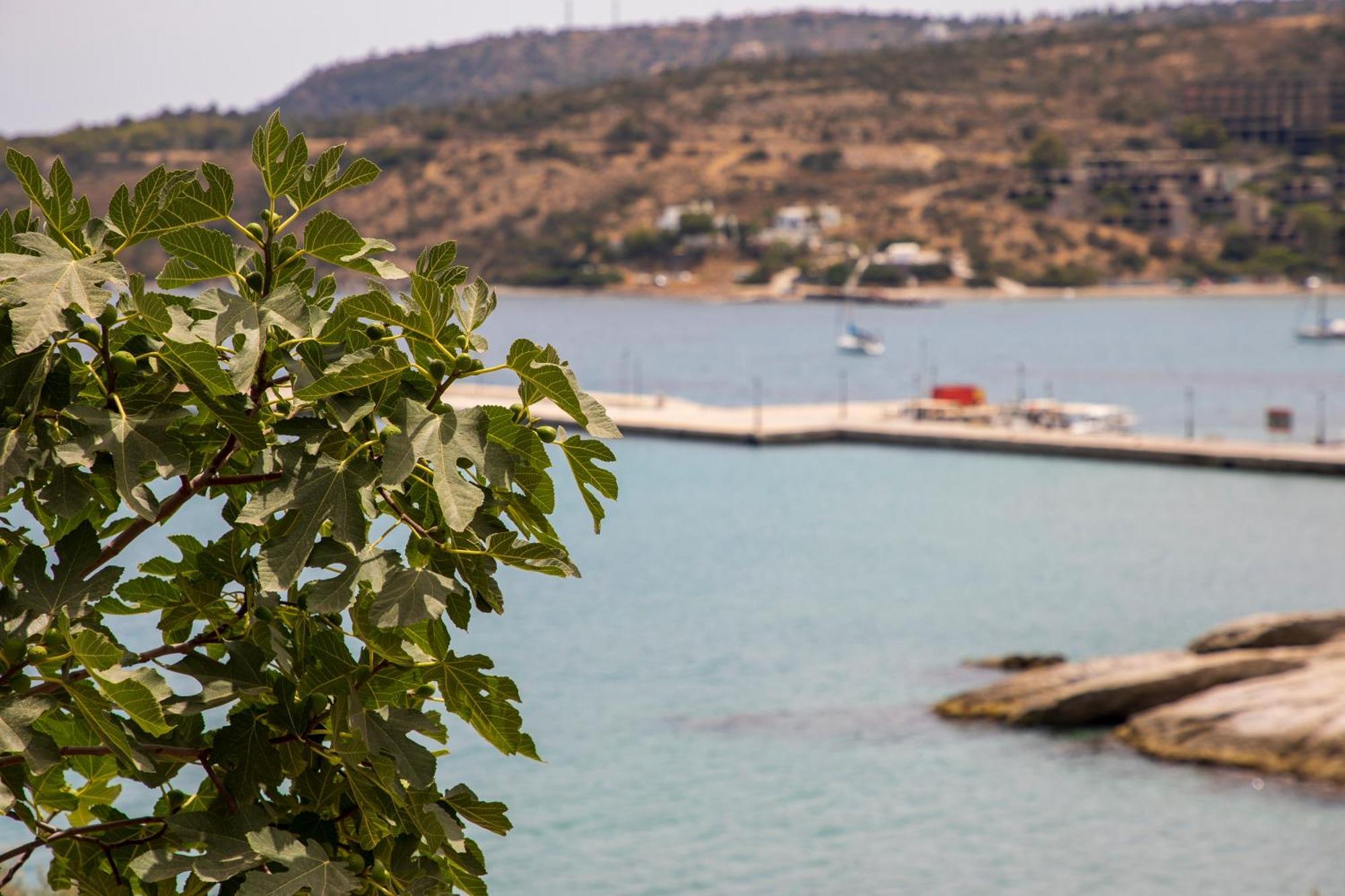 Agia Marina Sea La Vie别墅 外观 照片